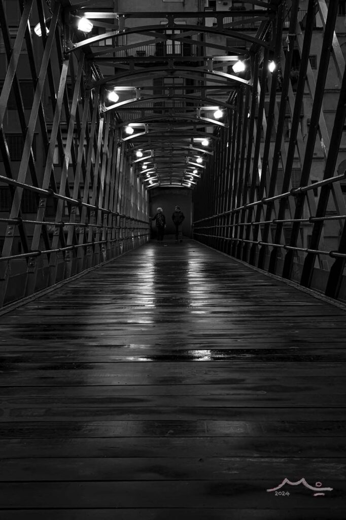 Pont de Girona amb tres noms: Eiffel, de les Peixateries Velles, de Ferro