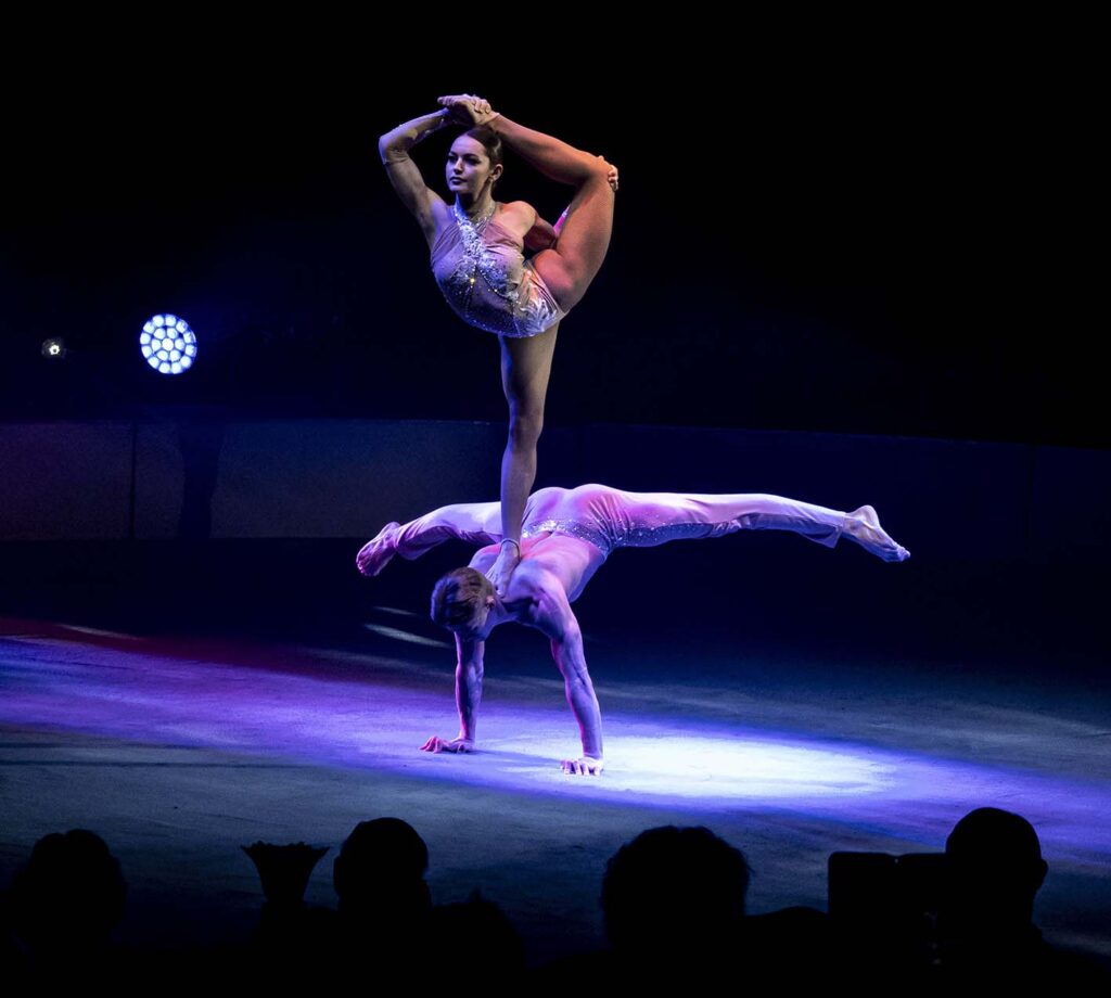 14è FESTIVAL INTERNACIONAL DEL CIRC ELEFANT D'OR