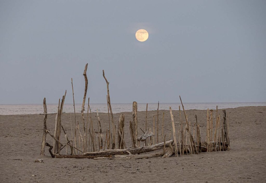 LLUNA PLENA DAMUNT L'EMPALISADA
